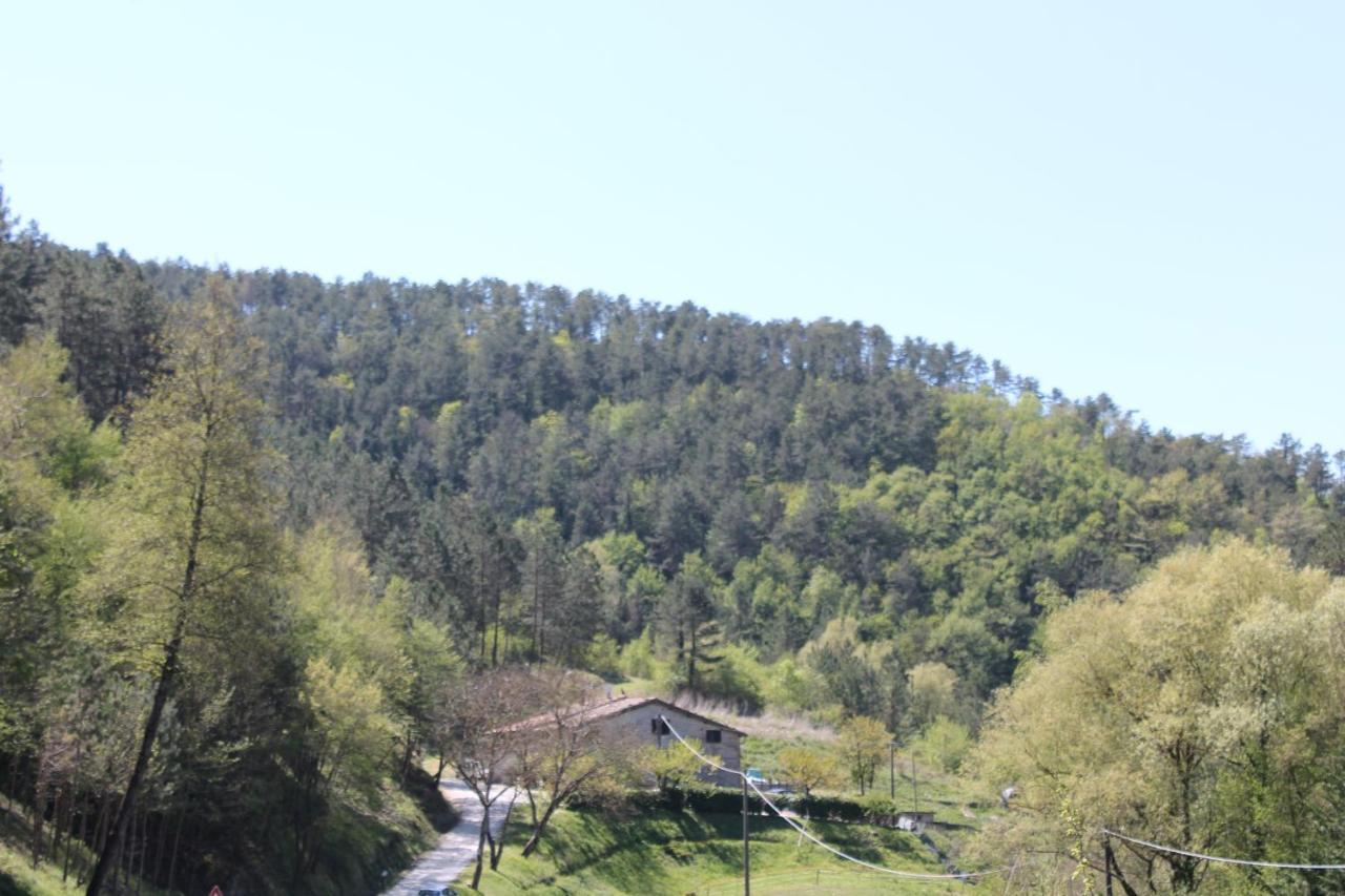 B&B Paradiso Gubbio Bagian luar foto