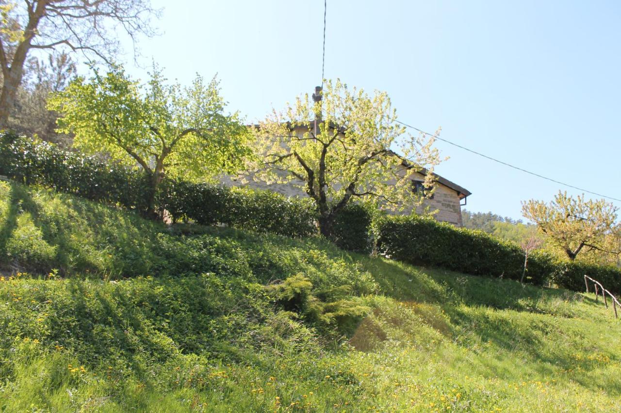 B&B Paradiso Gubbio Bagian luar foto