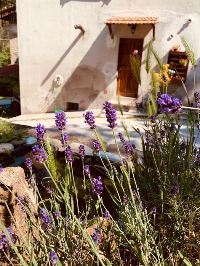 B&B Paradiso Gubbio Bagian luar foto